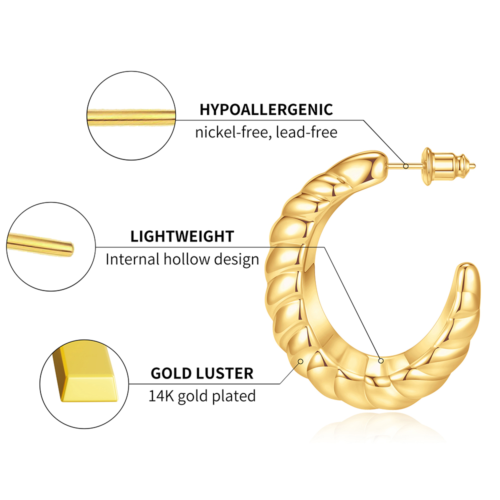 Croissant Twisted Hoop Earrings