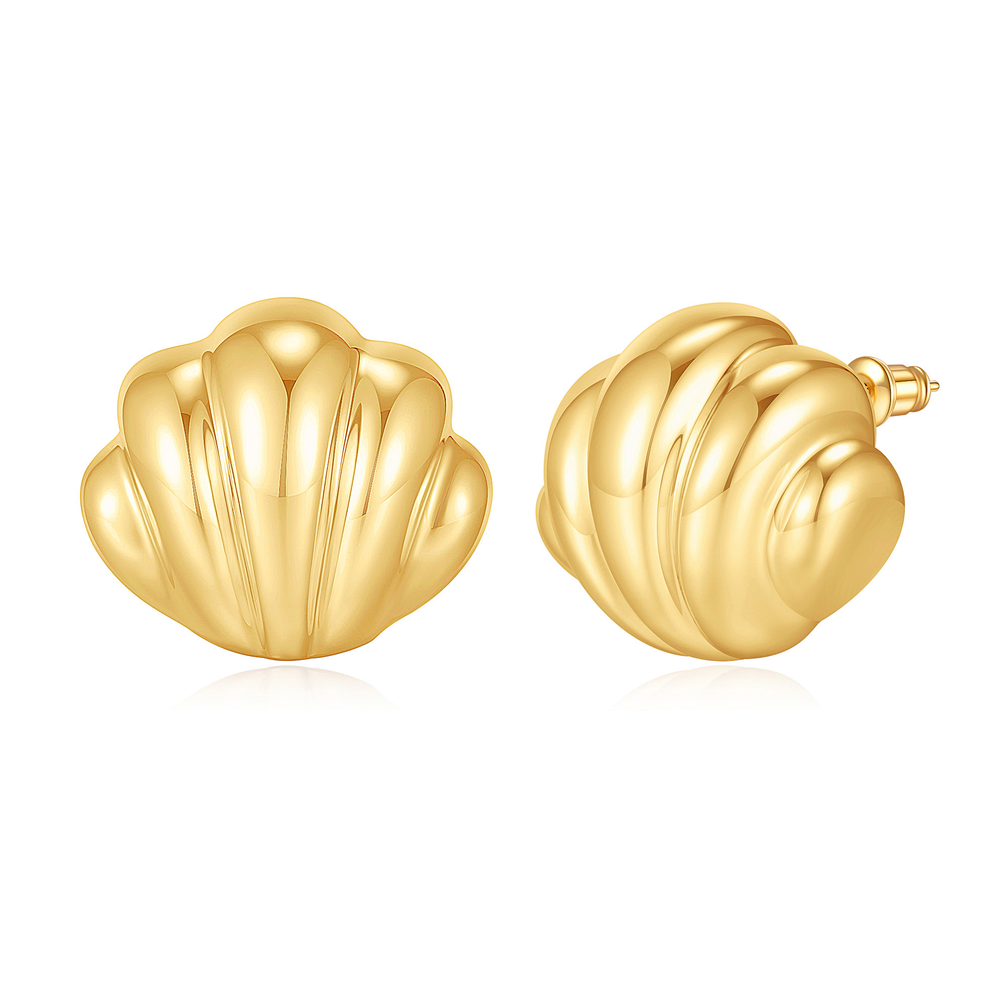 Seashell Stud Earrings
